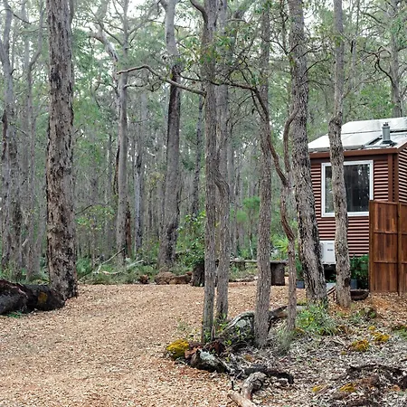 Luxury Tiny Homes In The Forest Rosa Glen Exterior photo
