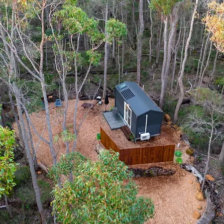 Luxury Tiny Homes In The Forest Rosa Glen Exterior photo