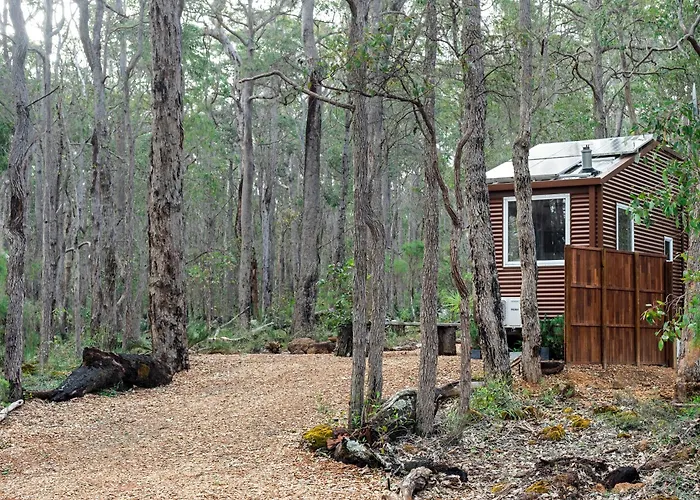 Luxury Tiny Homes In The Forest