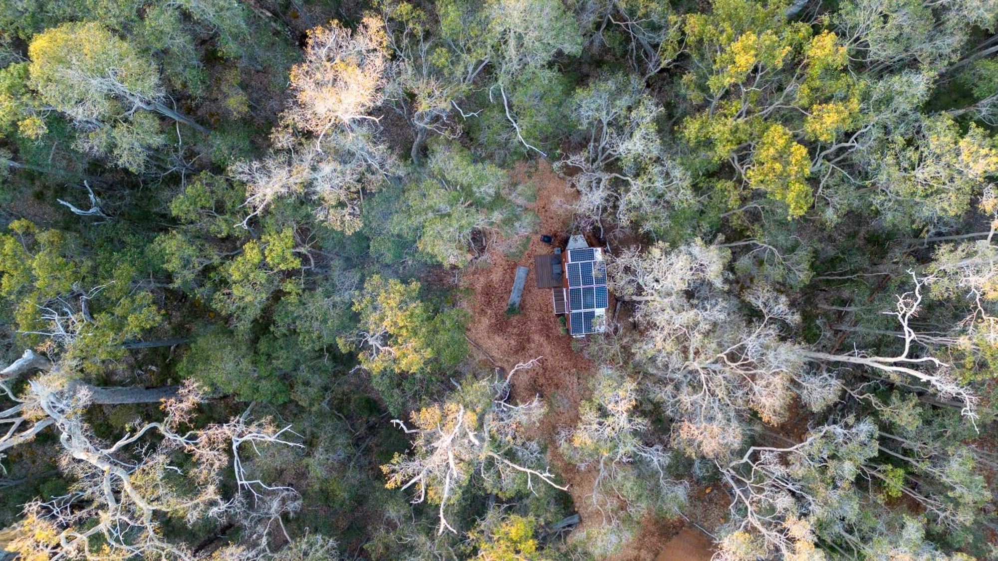 Luxury Tiny Homes In The Forest Apartment Rosa Glen
