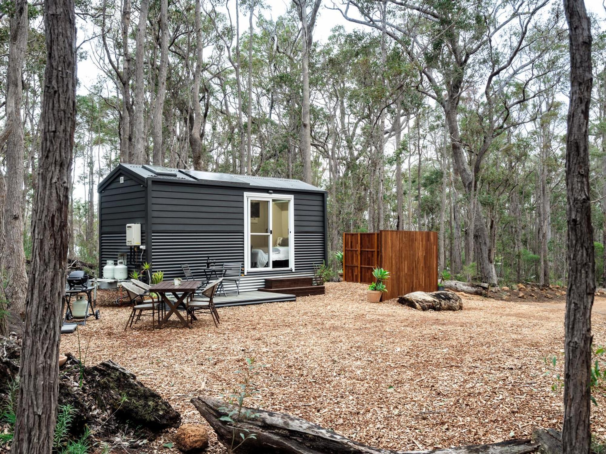 Luxury Tiny Homes In The Forest Apartment